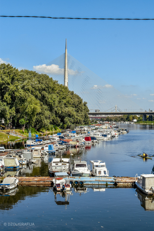 Provozajte se brodićem ili čamcem po beogradskim rekama
