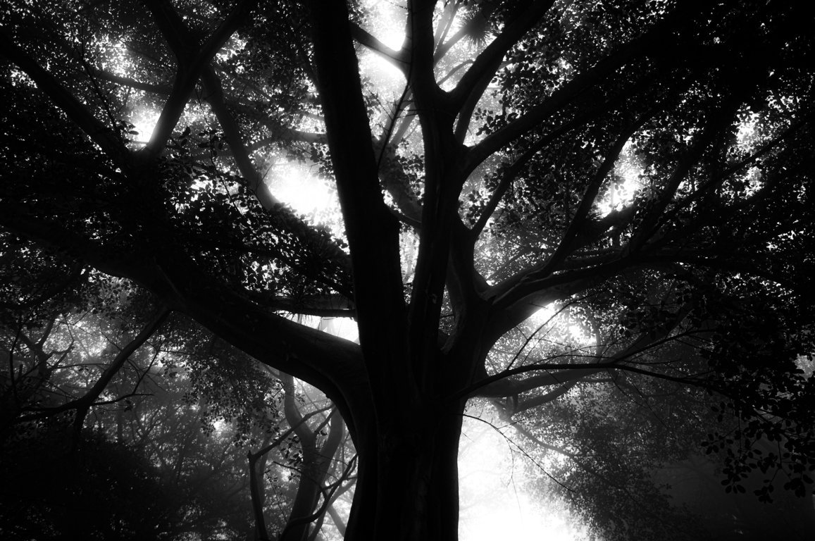 Izložba “Whispers in the Shadows: A Poe-inspired Room” od 19. januara u “Radisson Collection Old Mill Hotel”-u u Beogradu