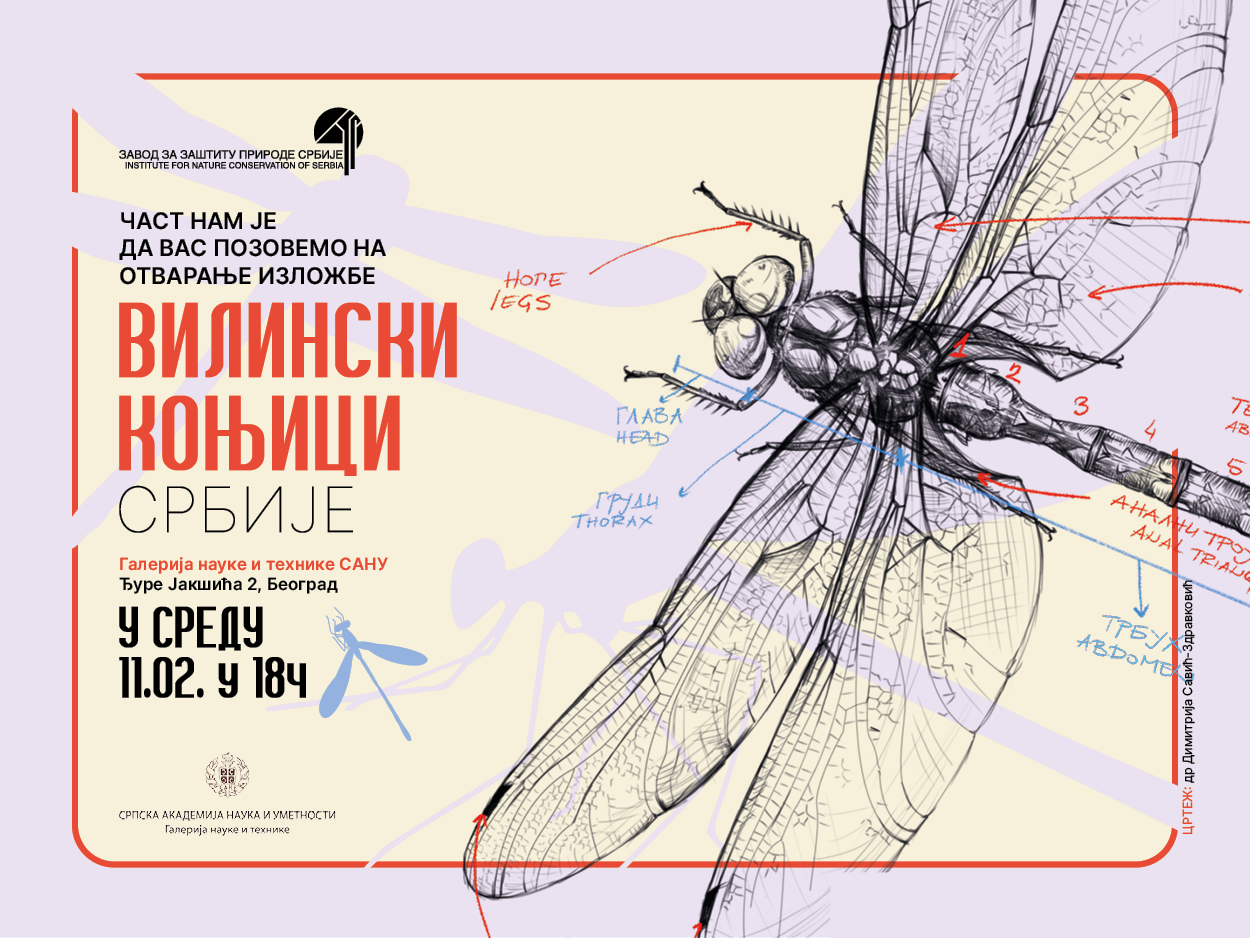 Изложба „Вилински коњици Србије“ од 11. фебруара у Галерији науке и технике САНУ у Београду