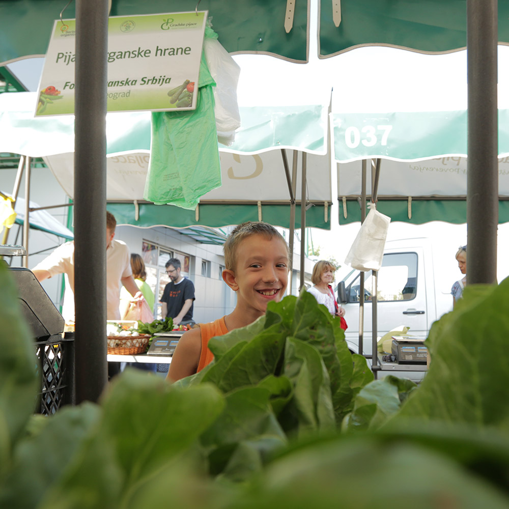 Рынки, которые дышат: Где город становится сообществом