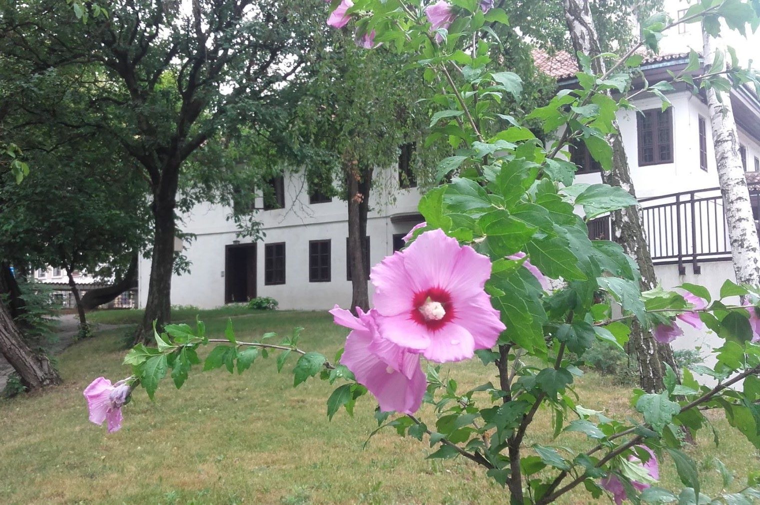 „Доситејеви дани“ у Музеју Вука и Доситеја у Београду